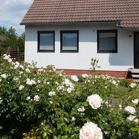 Fewo Am Sassenberg Blankenburg  Luaran gambar