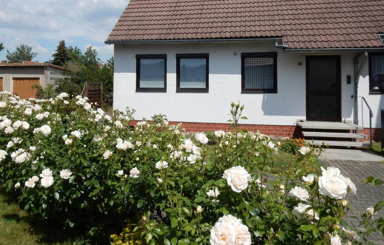 Fewo Am Sassenberg Blankenburg  Luaran gambar